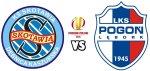 skotawia_pogon_net.jpg skotawia_pogon_net.jpg